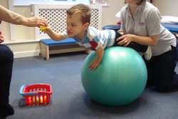 Cerebral Palsy (CP) Cerebral Palsy (CP)