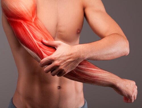 Muscular Injury Muscular Injury
