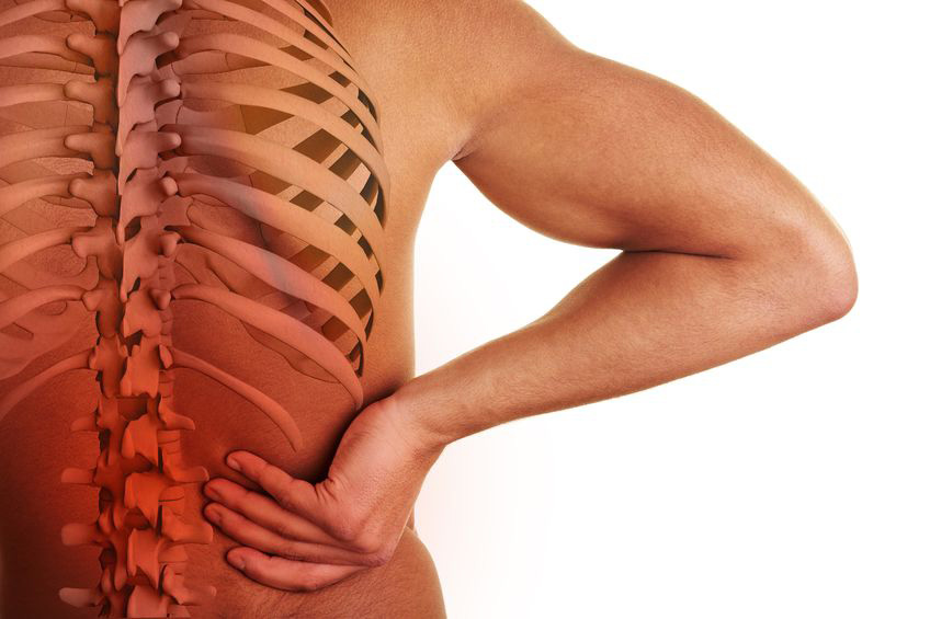 12108599 - hand holding hip with visible spine and center of back pain 12108599 - hand holding hip with visible spine and center of back pain